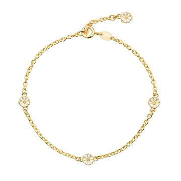 Forgyldt Marguerit armbånd