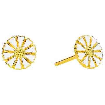 Forgyldte Matguerit ørestikker