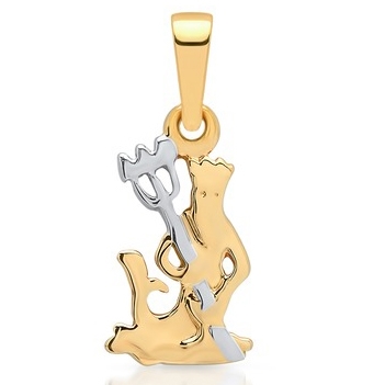 Vedhæng med stjernetegnet Vandmanden