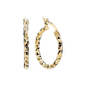 Forgyldte creoler i Sølv