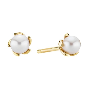 Ørestikker i Guld med perle i klo