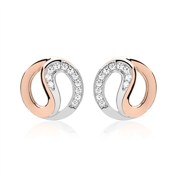 Tofarver ørestikker i Sølv