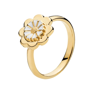 Forgyldt Marguerit Ring i Sølv